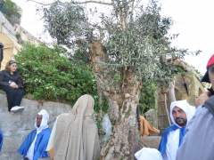 misteri-procida-processione-2017-86